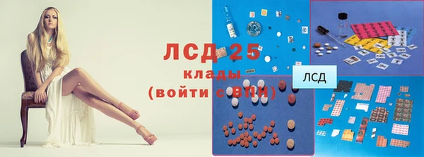 ГАЛЛЮЦИНОГЕННЫЕ ГРИБЫ Арсеньев